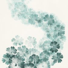 Art For Sale – Consortium Museum Shop – Dijon – FR