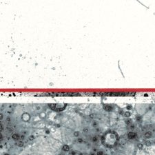 Exposition « Rien ne se perd » Le Rez-de-jardin – Fontaine-lès-Dijon – 21 – FR