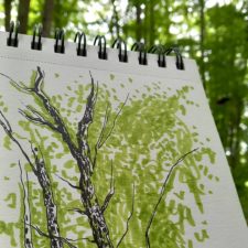 Carnets d’observation